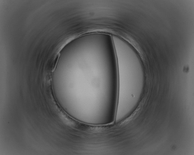 X0000091681377200708231058