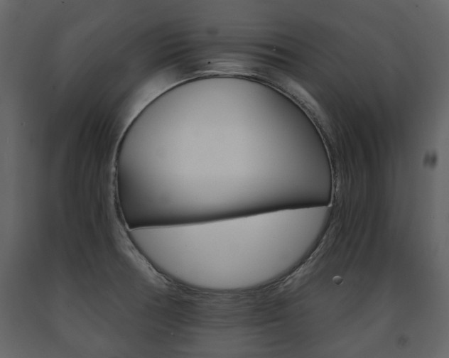X0000091681378200708231057
