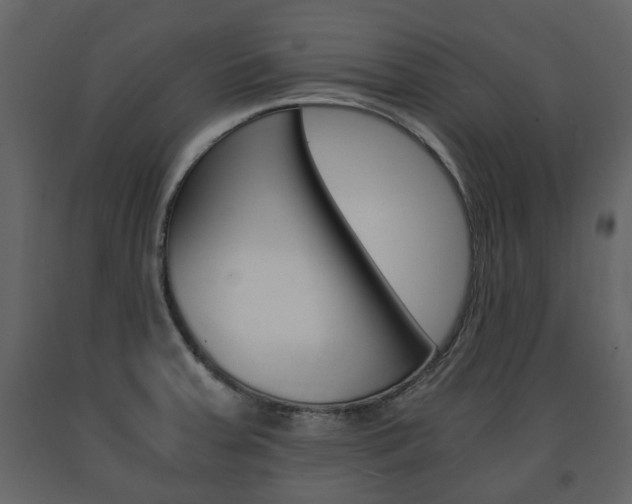 X0000091681379200708231057