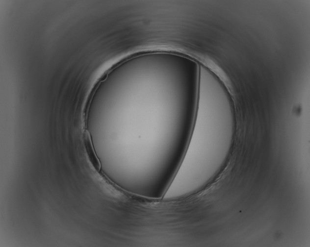 X0000091681380200708231057