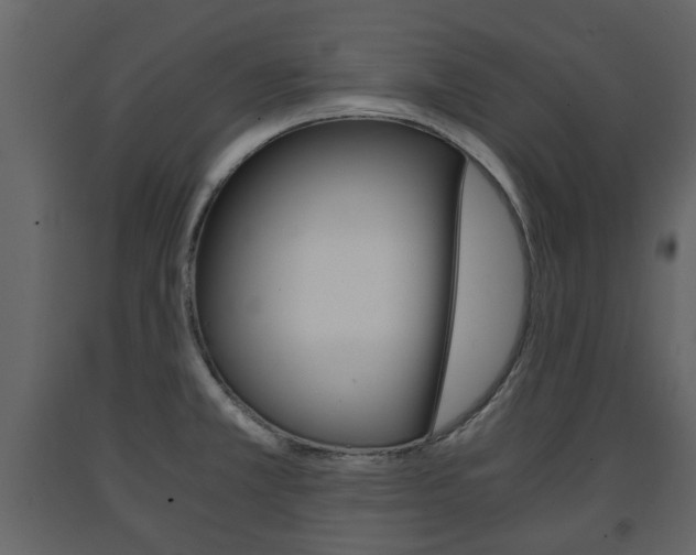 X0000091681381200708231057