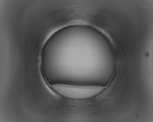 X0000091681383200708231057