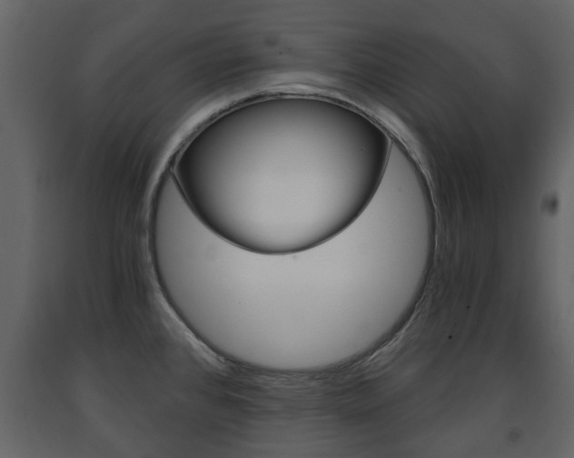 X0000091681384200708231057