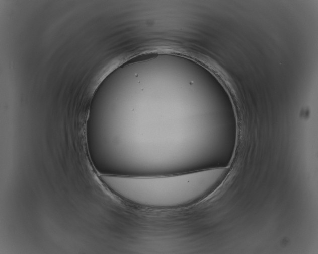 X0000091681385200708231057