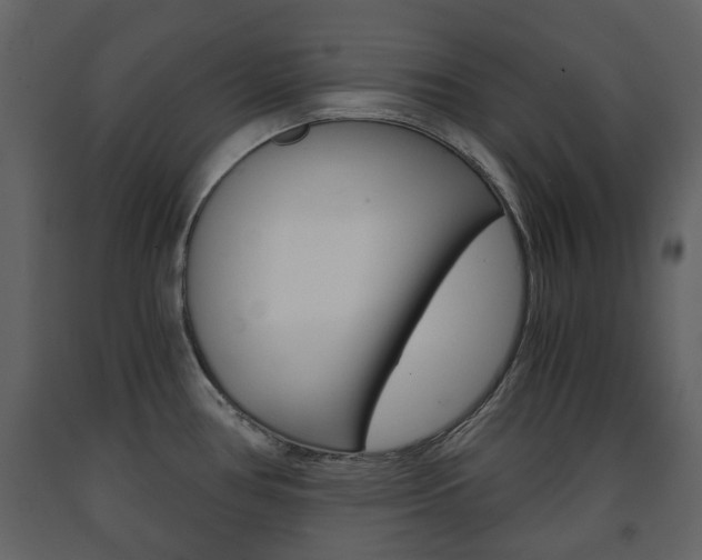 X0000091681386200708231057