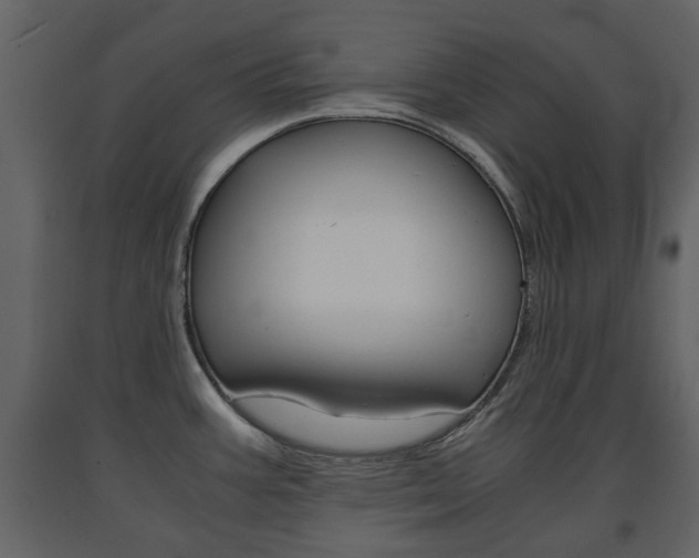 X0000091681387200708231057