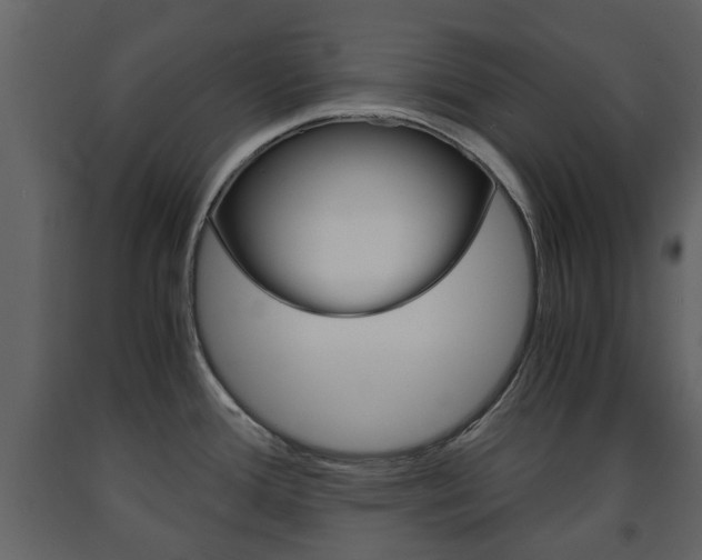 X0000091681388200708231057