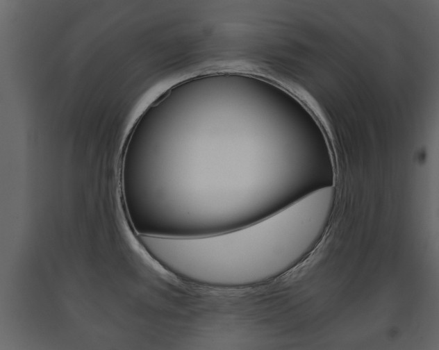 X0000091681389200708231057