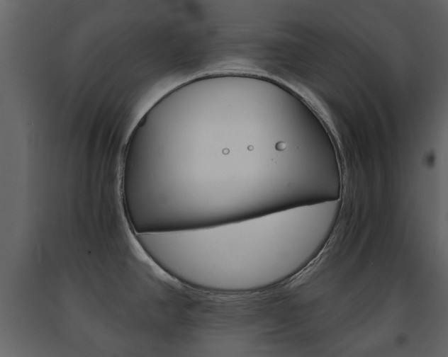 X0000091681390200708231057