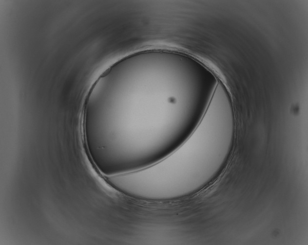 X0000091681391200708231057