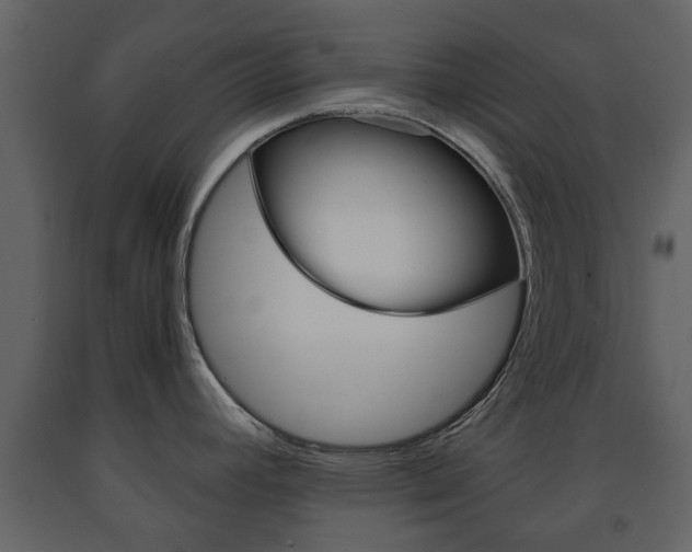 X0000091681392200708231057