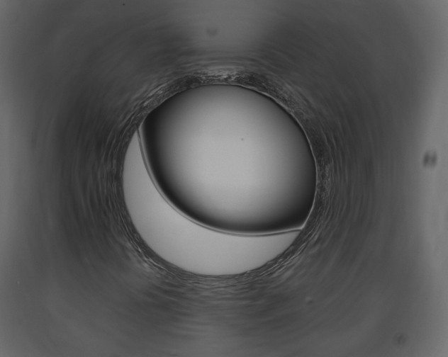 X0000091681394200708231057