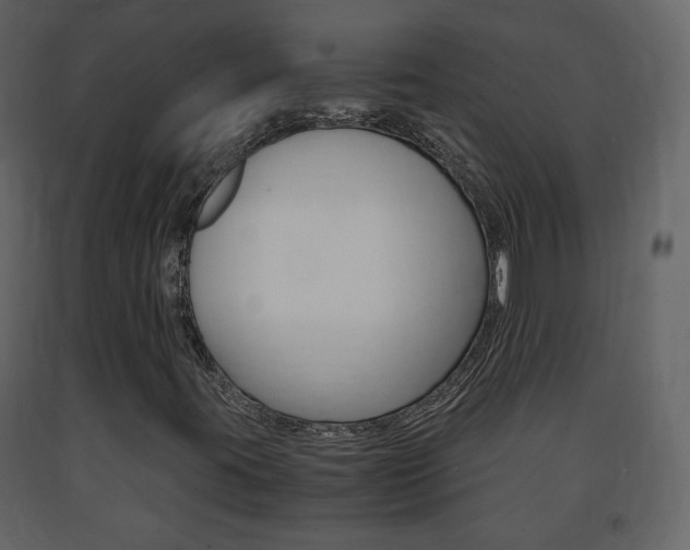 X0000091681395200708231057
