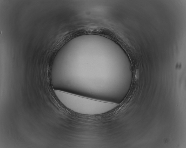 X0000091681396200708231057