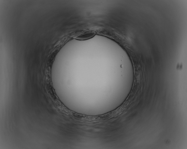 X0000091681397200708231057