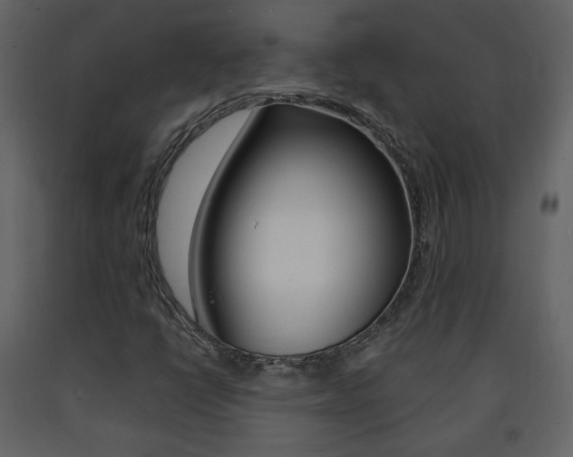 X0000091681398200708231057