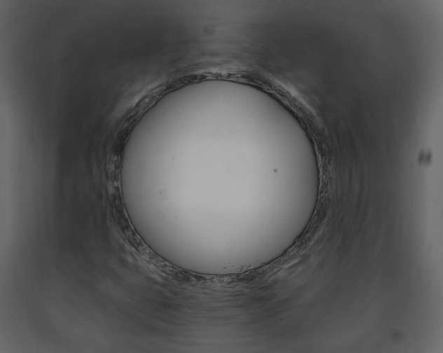 X0000091681399200708231057