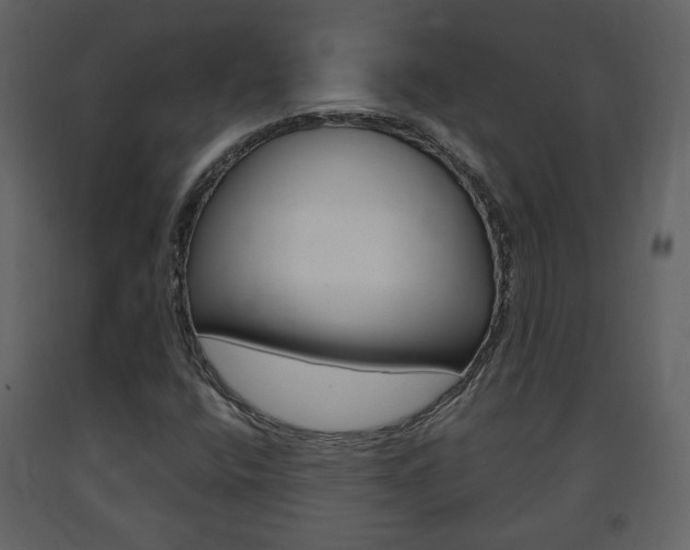 X0000091681400200708231057