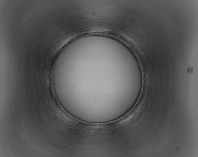 X0000091681401200708231057