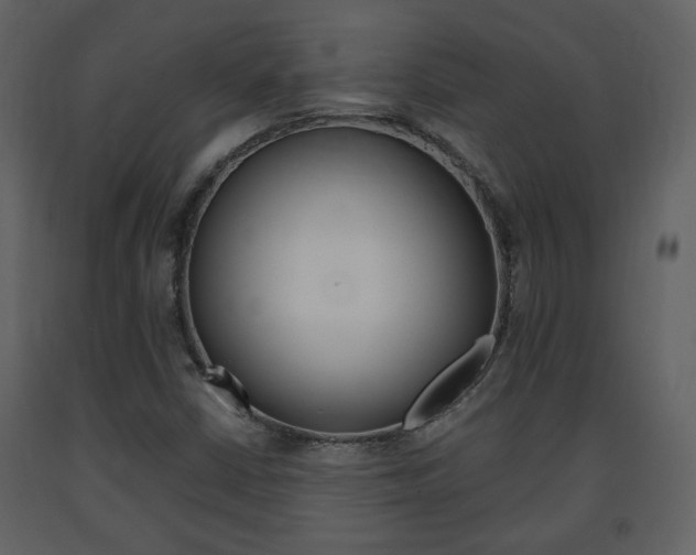 X0000091681402200708231057