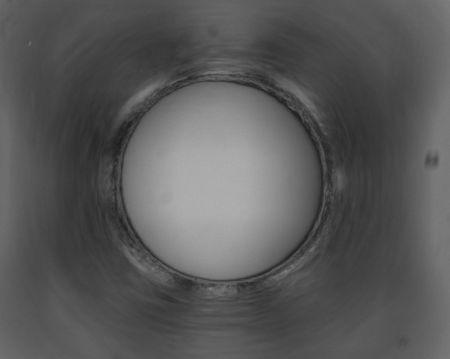 X0000091681403200708231057