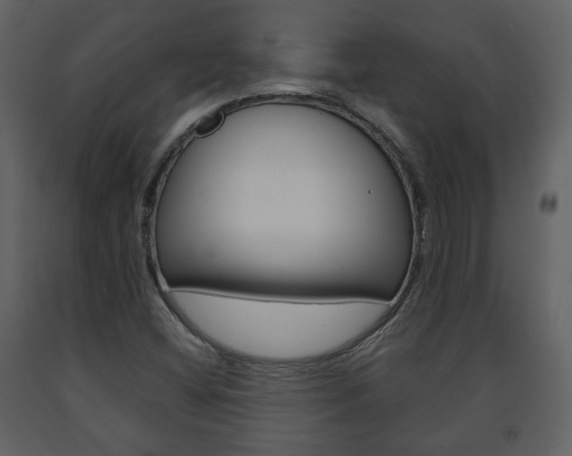 X0000091681404200708231057