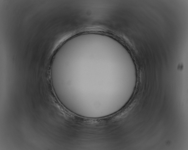 X0000091681405200708231057
