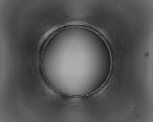 X0000091681406200708231057