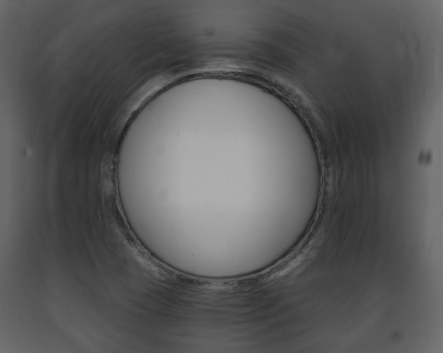 X0000091681409200708231057