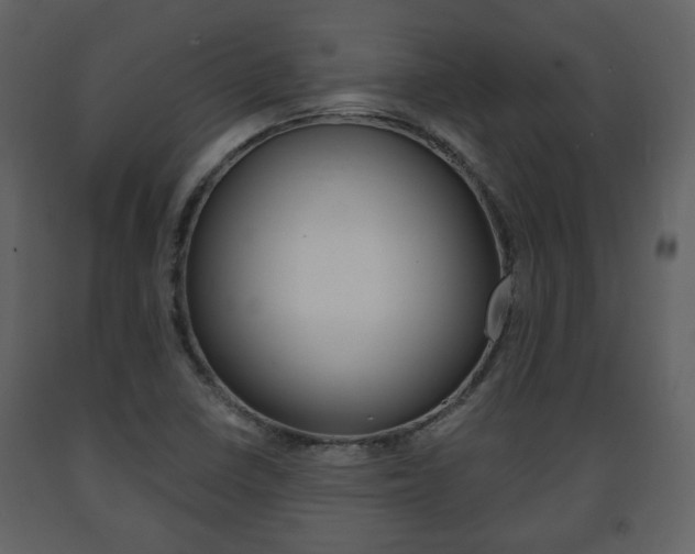 X0000091681410200708231057
