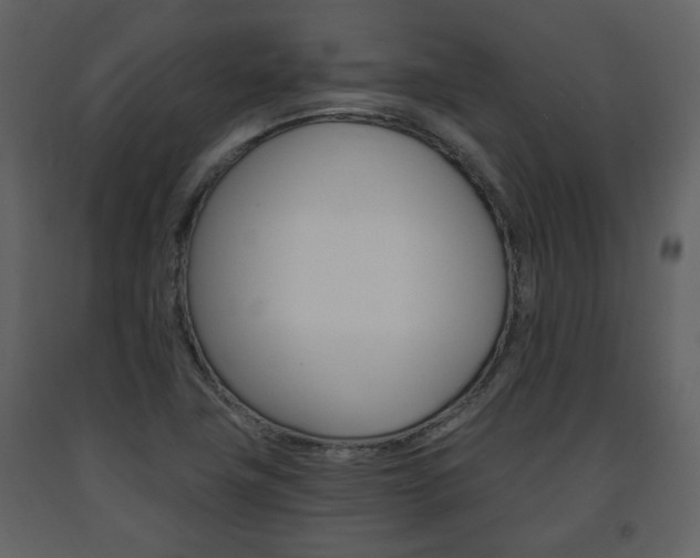 X0000091681411200708231057