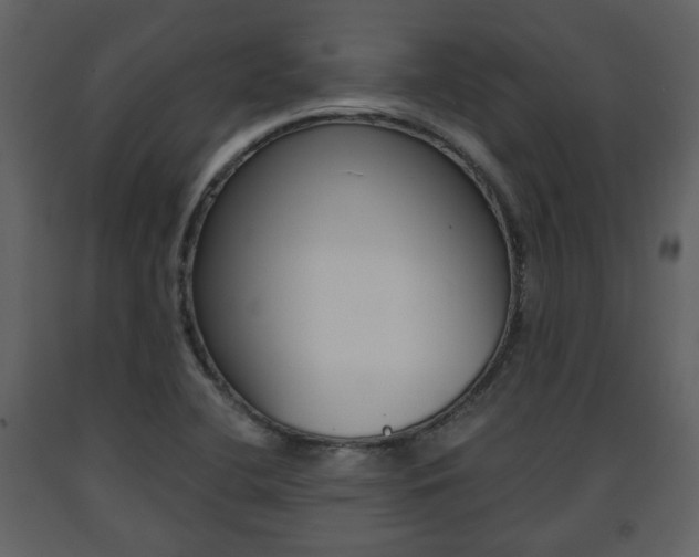 X0000091681412200708231057