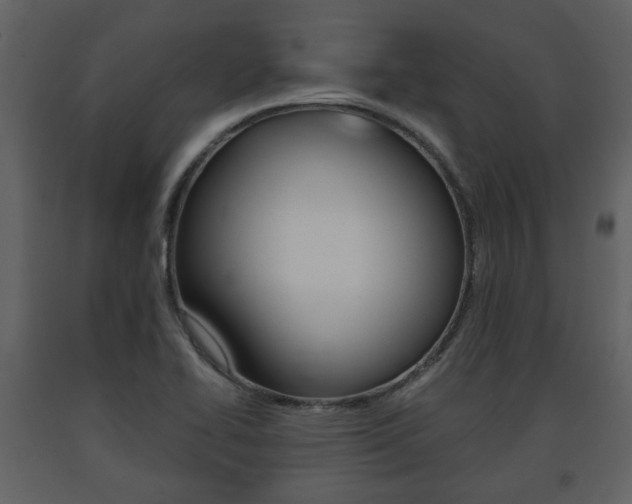 X0000091681414200708231057