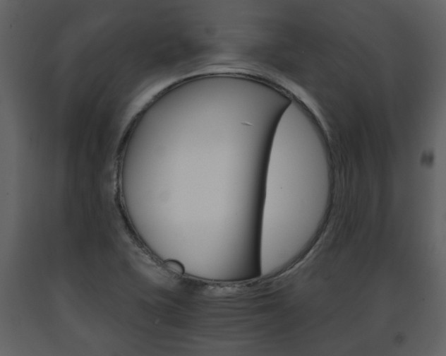 X0000091681415200708231057