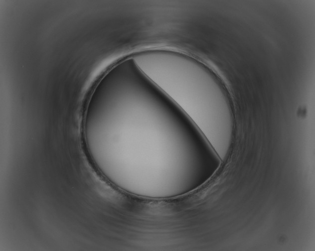 X0000091681416200708231057