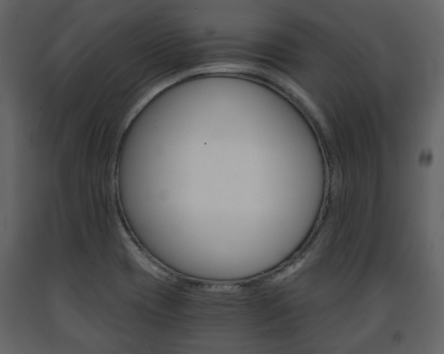 X0000091681417200708231057
