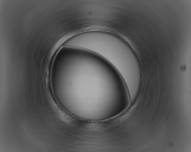 X0000091681418200708231057