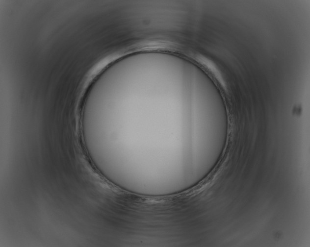 X0000091681419200708231057