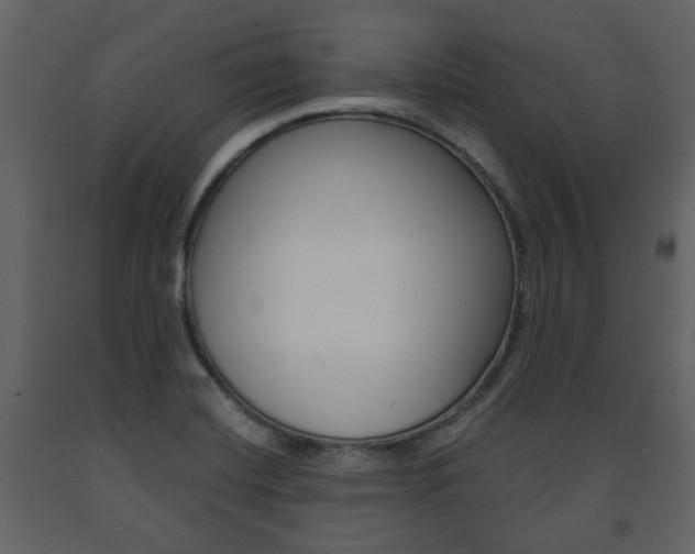 X0000091681420200708231057