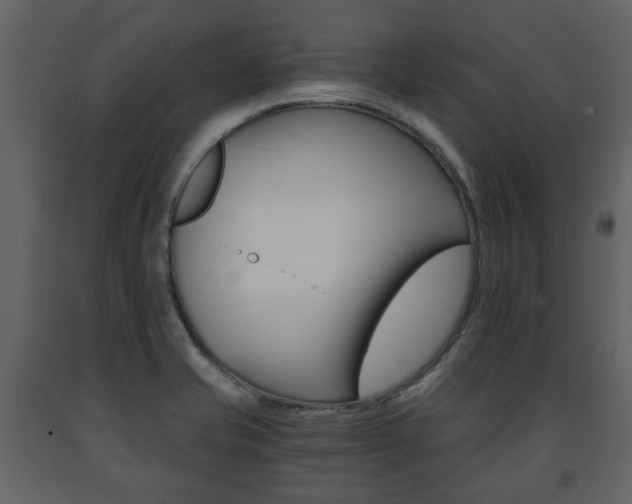 X0000091681421200708231057