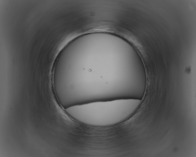 X0000091681423200708231057