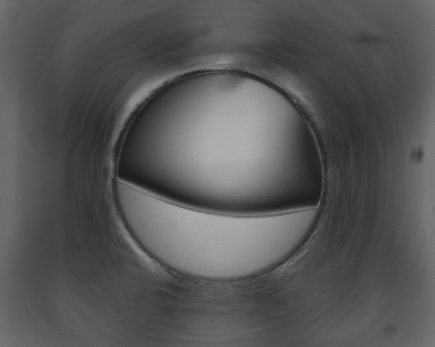 X0000091681424200708231057