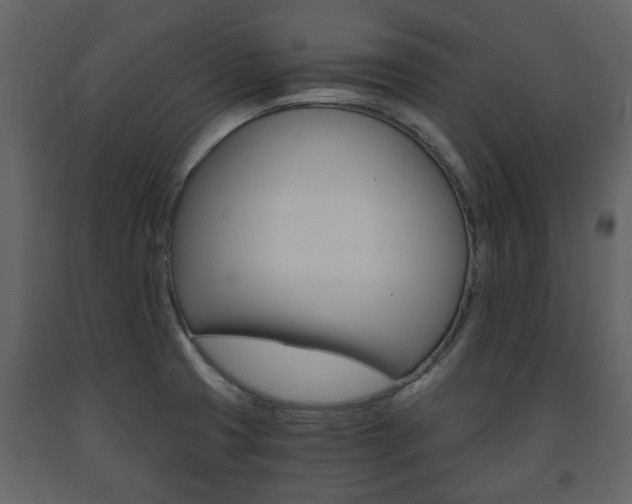 X0000091681425200708231057