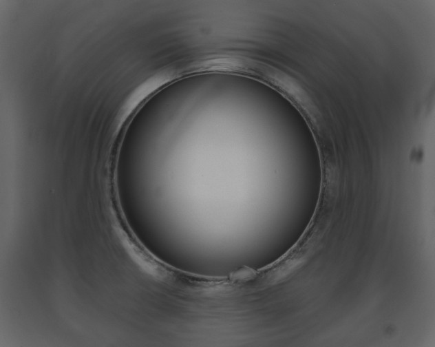 X0000091681426200708231057