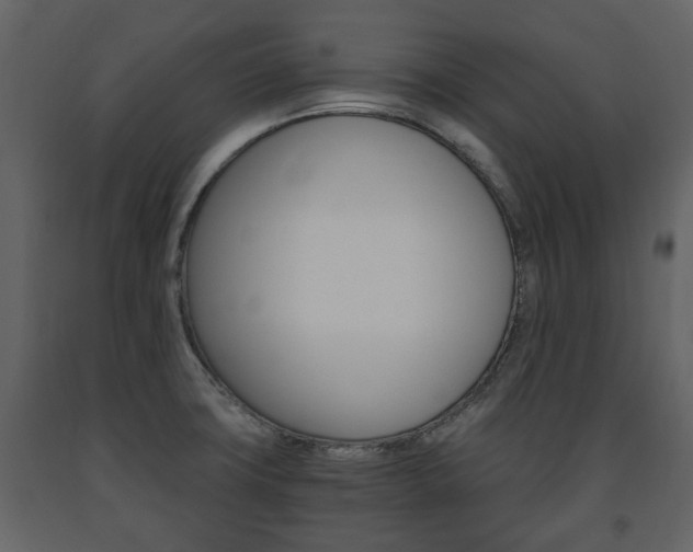X0000091681427200708231057