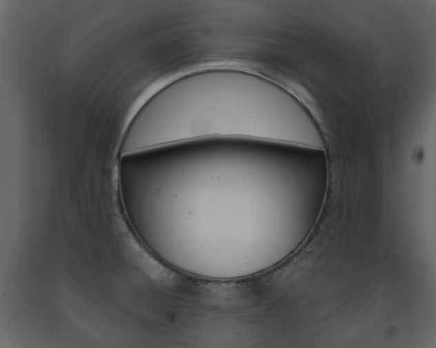 X0000091681428200708231057