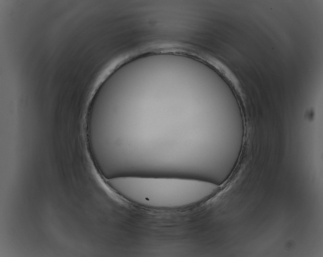 X0000091681429200708231057