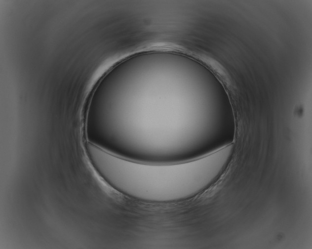 X0000091681430200708231057
