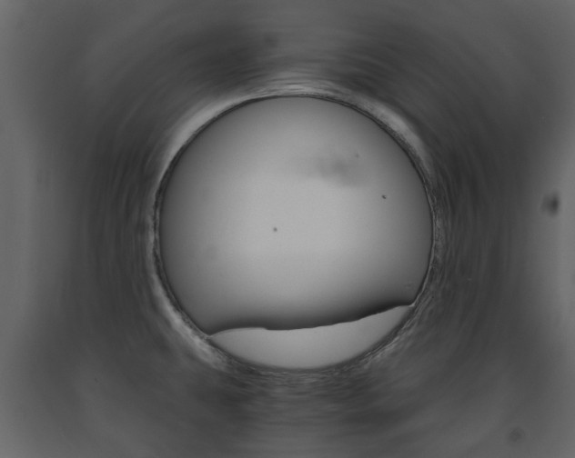 X0000091681431200708231057