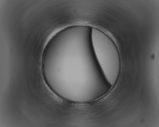 X0000091681432200708231057